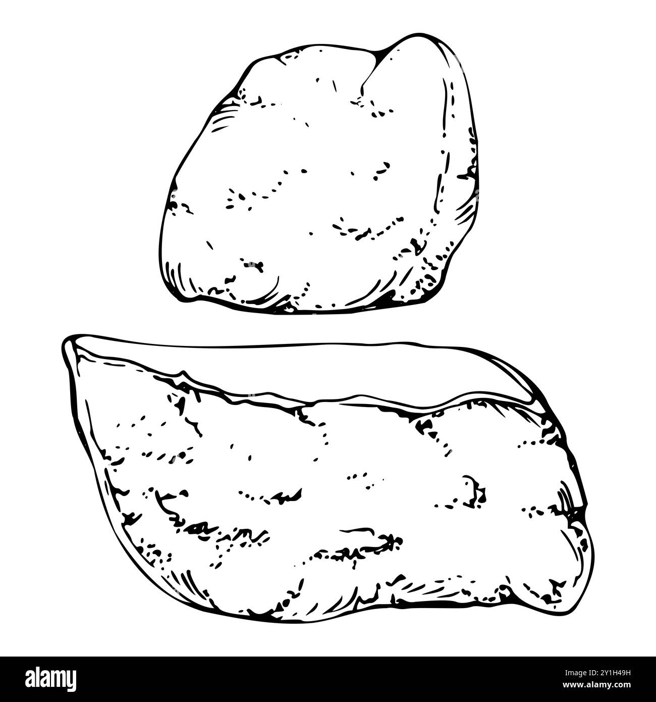 Pochette de tofu sushi inari traditionnelle japonaise, omelette de crêpe au fromage frit tamagoyaki, nourriture végétarienne végétalienne. Dessiné à la main dans le stylo vectoriel, encre Illustration de Vecteur