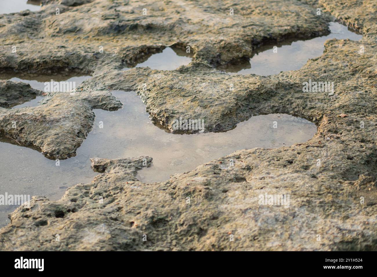 Un paysage texturé de terrain humide et rocheux avec des bassins d'eau peu profonds reflétant le ciel. La surface semble rugueuse et irrégulière, mettant en valeur e naturel Banque D'Images