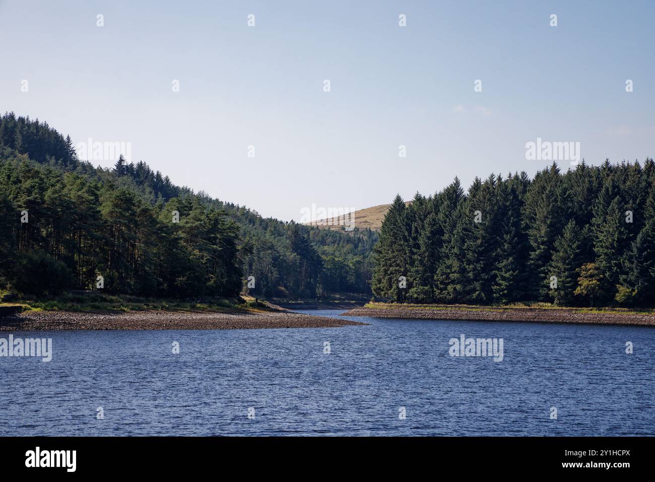 Les sources du réservoir Turton et Entwistle Banque D'Images