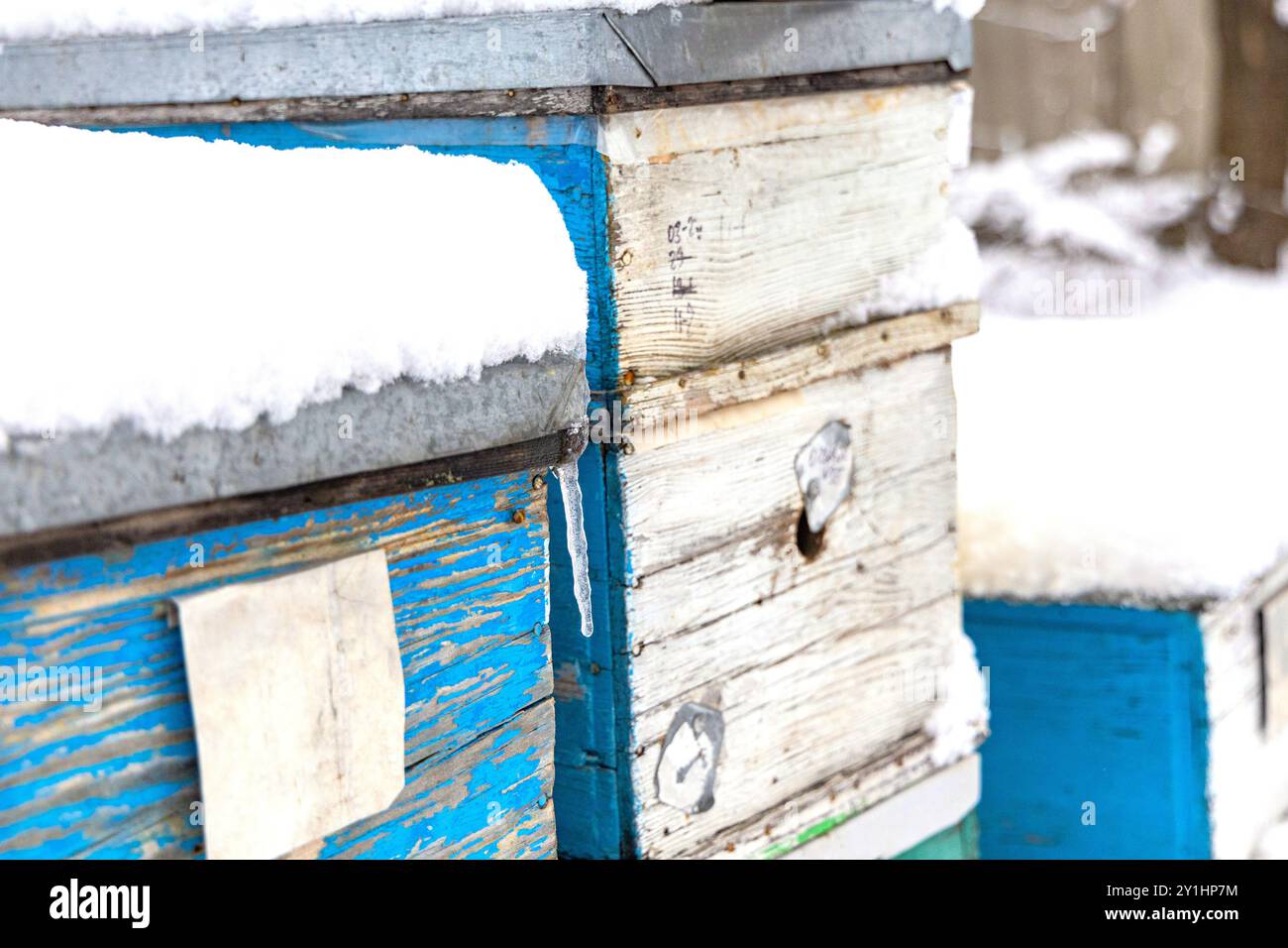 Des ruches d'abeilles peintes de couleurs vives se trouvent sous une couverture de neige, nichées dans un cadre rural tranquille pendant l'hiver. L'atmosphère fraîche se révèle Banque D'Images