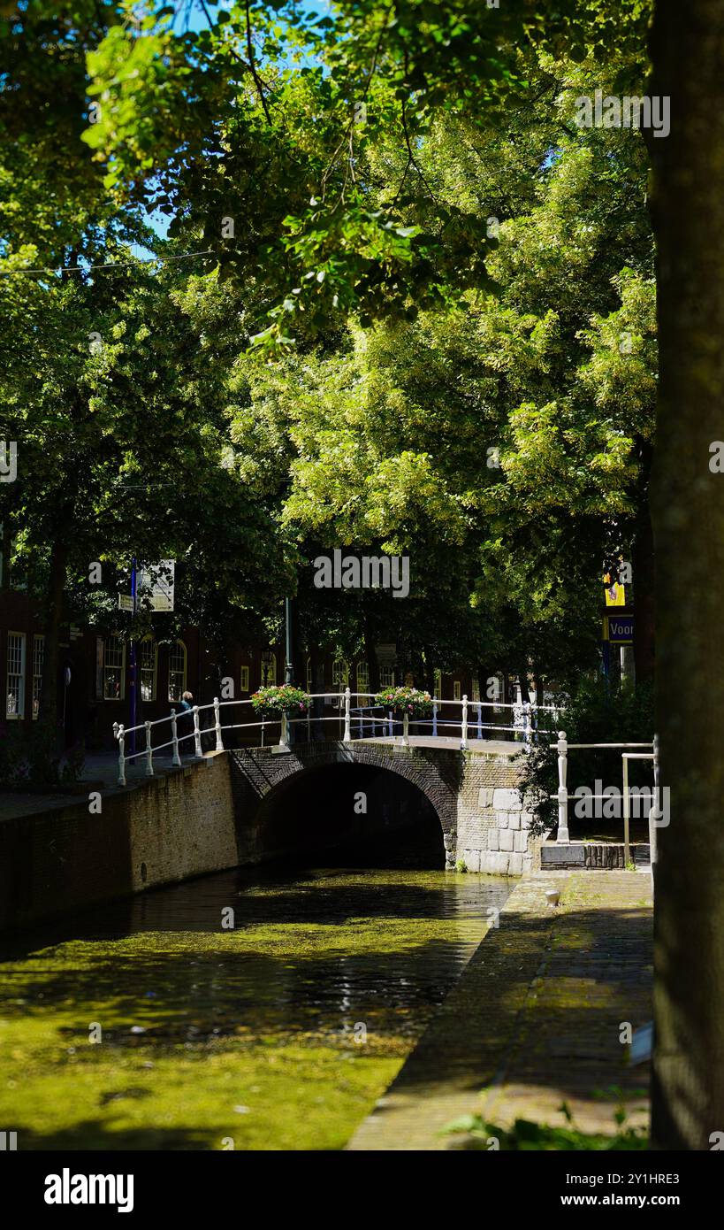 Vue paisible sur les canaux de Delft Banque D'Images