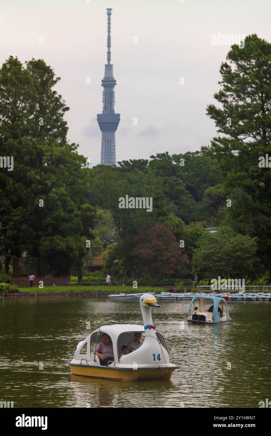 Tokyo, Japon, 14 juin 2024 : les rampes d'accès à l'étang Shinobazuno dans le parc Ueno situé à Taito-ku, Tokyo, offrent des chaloupes, des bateaux à vélo et des bateaux à cygnes comme on le voit Banque D'Images