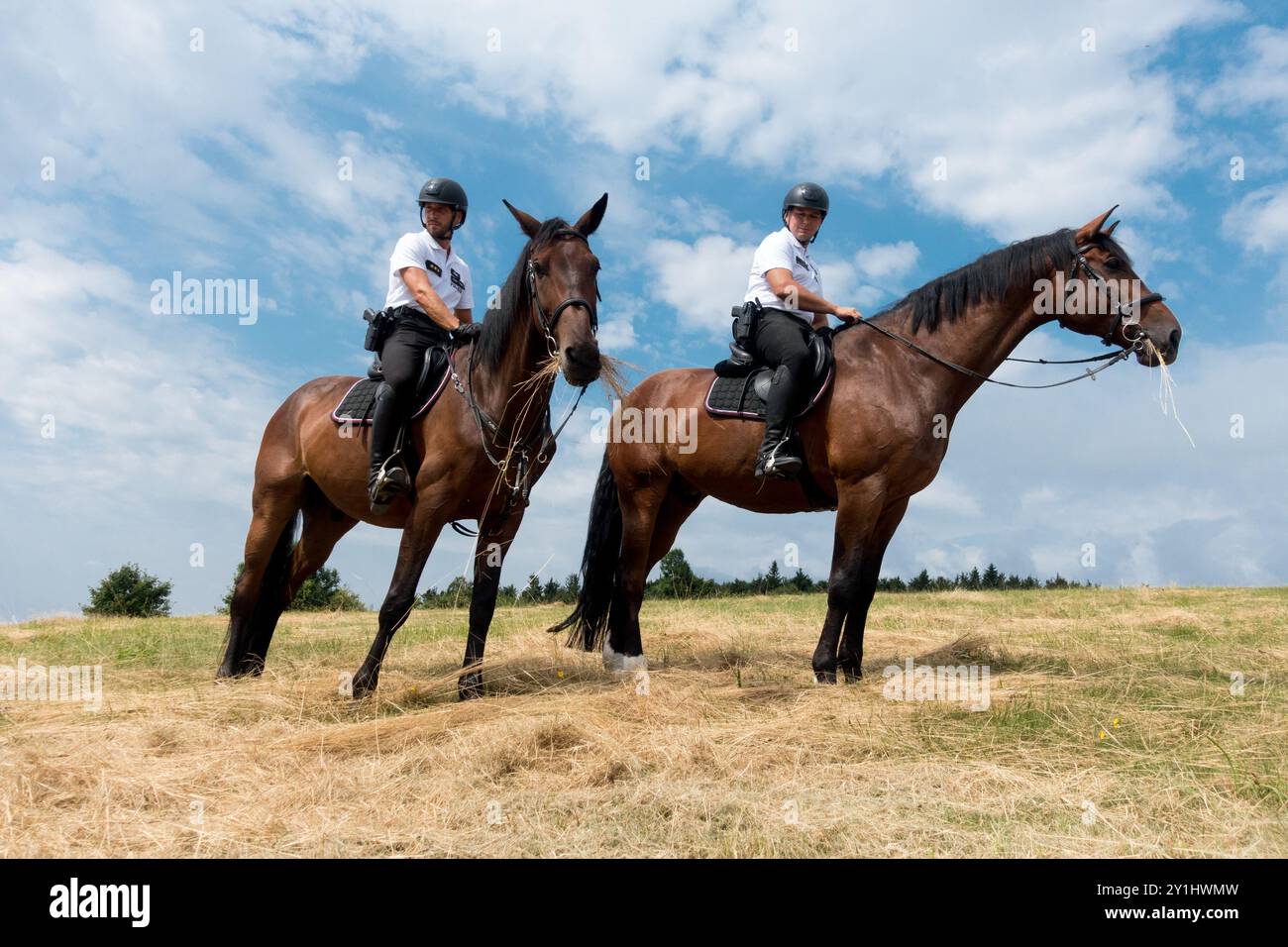 Deux policiers slovaques, police à cheval, officier en uniforme d'été patrouillant, frontière slovaque tchèque Slovaquie Banque D'Images