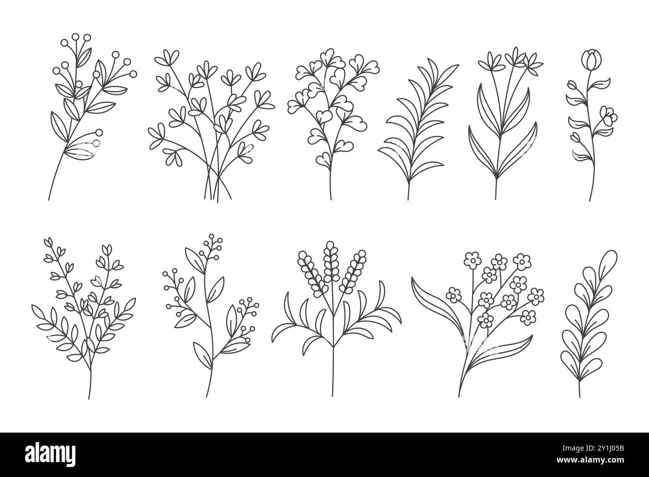 Ensemble d'éléments floraux dessinés à la main Illustration de Vecteur