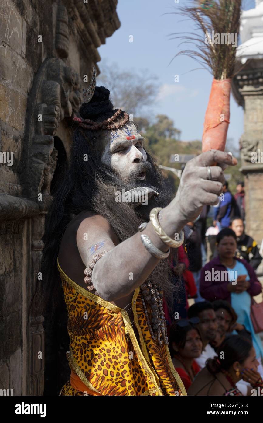 Portrait de Sadhu, Népal Banque D'Images