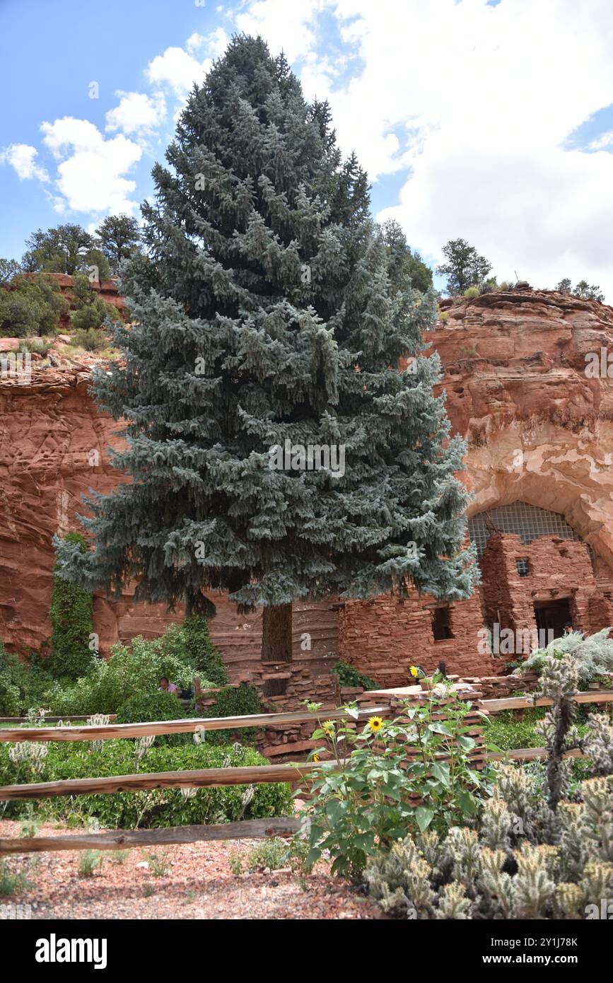 Kanab, Utah États-Unis 13/08/2024. La grotte de Moqui était autrefois utilisée par les Anasazi comme abri ou magasin de nourriture, selon des fouilles archéologiques dans la région. I Banque D'Images