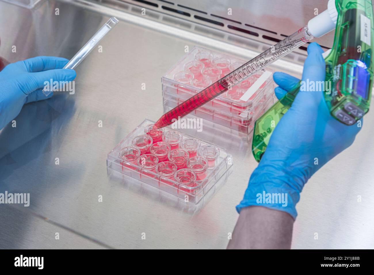 Ouvrier de laboratoire utilisant une pipette, New Jersey USA Banque D'Images Ouvrier de laboratoire utilisant une pipette, New Jersey USA Banque D'Images