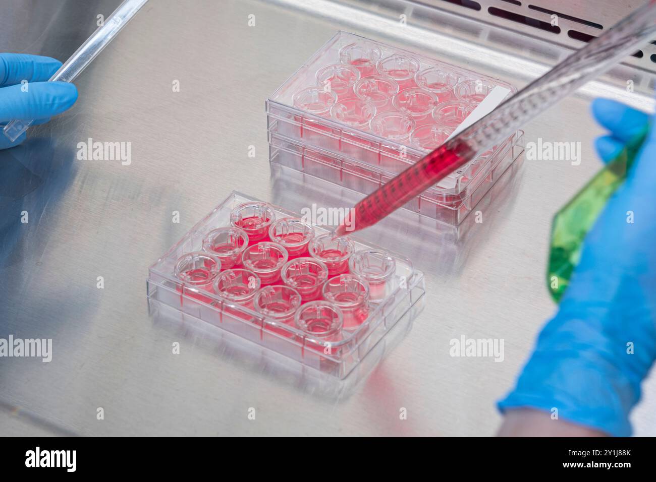 Ouvrier de laboratoire utilisant une pipette, New Jersey USA Banque D'Images Ouvrier de laboratoire utilisant une pipette, New Jersey USA Banque D'Images