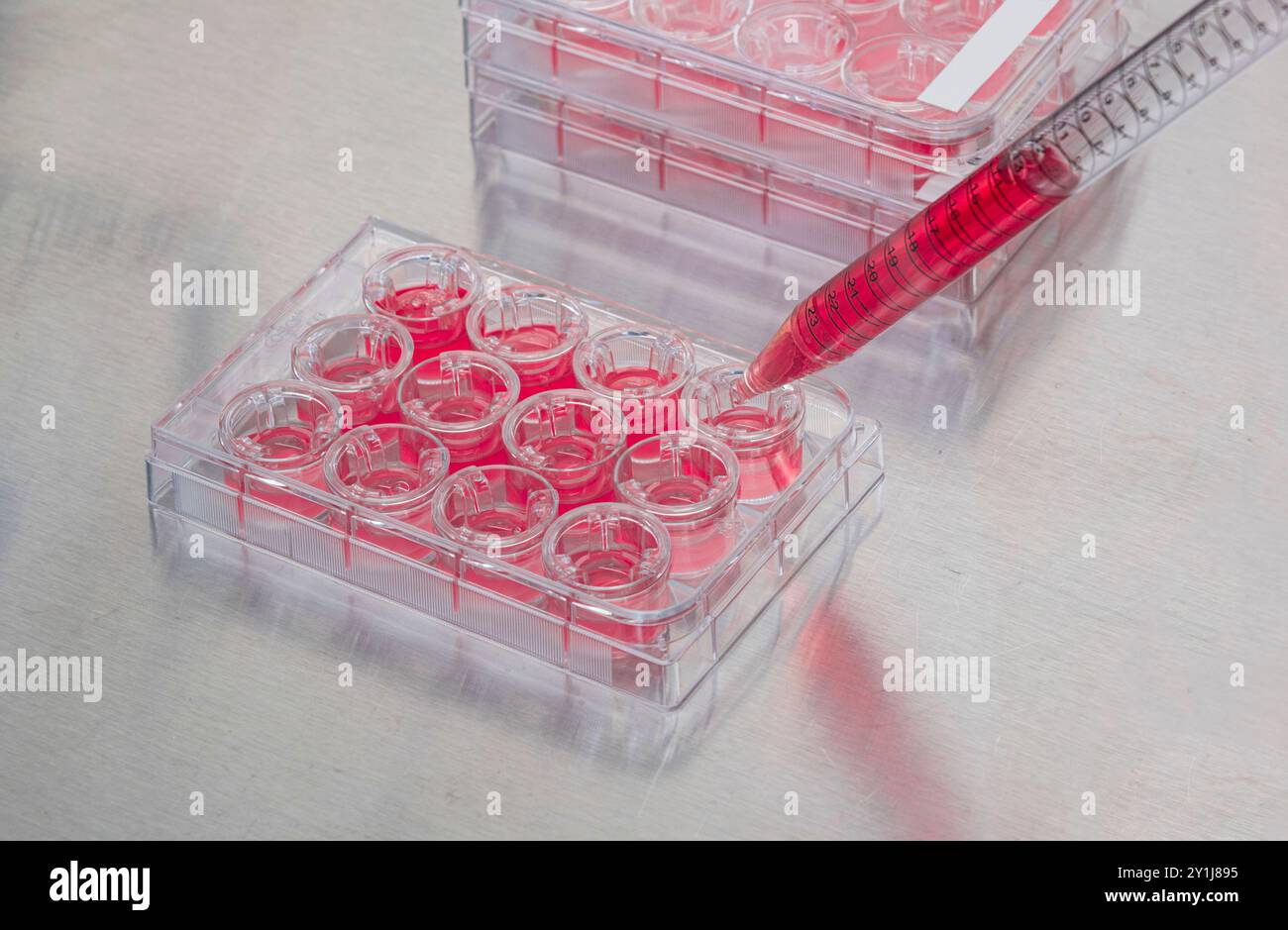Ouvrier de laboratoire utilisant une pipette, New Jersey USA Banque D'Images Ouvrier de laboratoire utilisant une pipette, New Jersey USA Banque D'Images