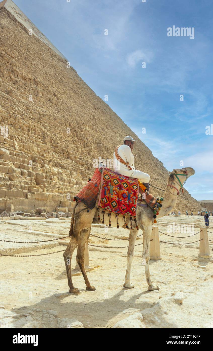 Le complexe pyramidal de Gizeh alias la nécropole de Gizeh le Caire, Egypte. Chameau et cavalier. Banque D'Images