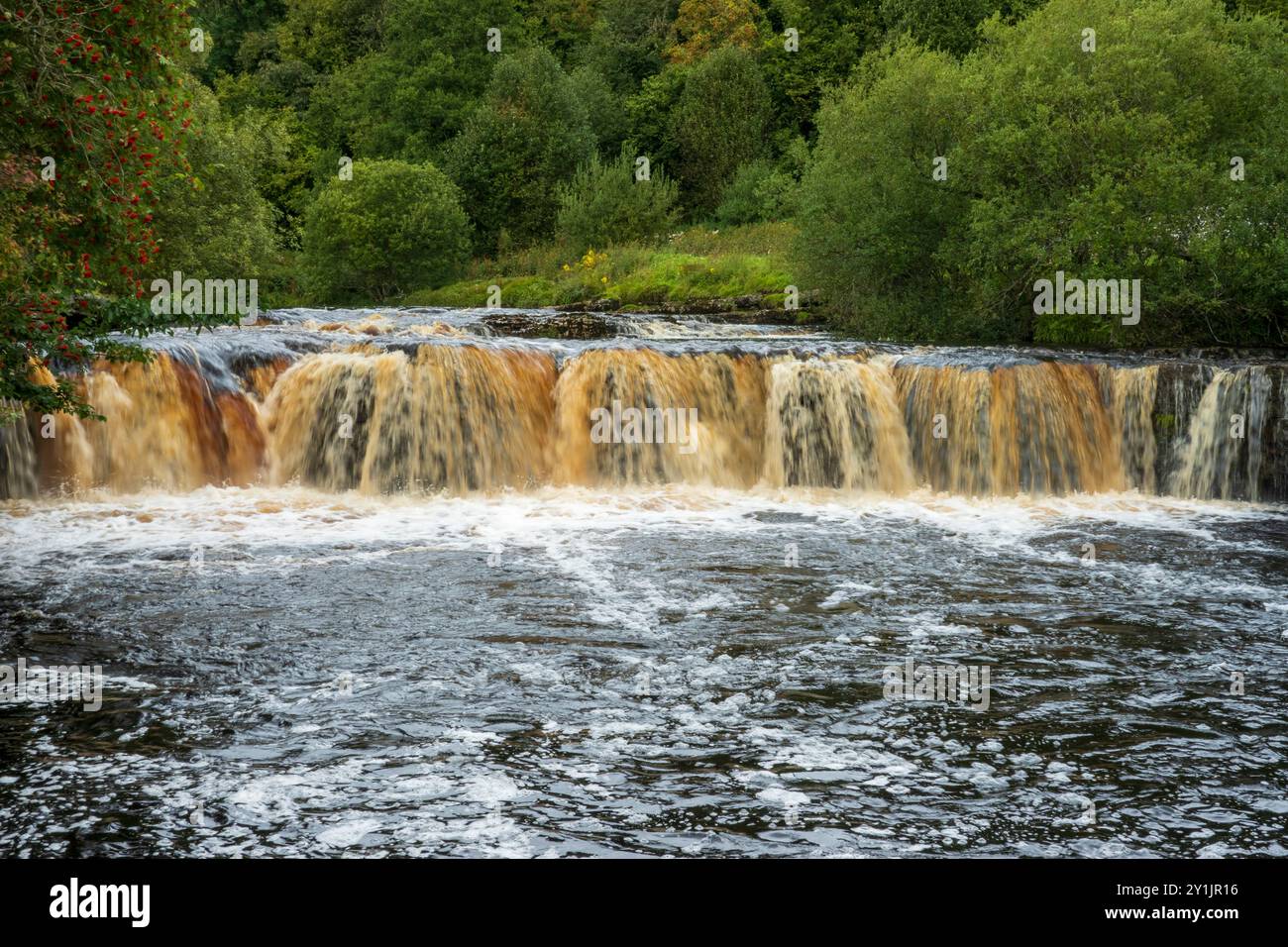 Wain Wath Force, Swaledale, parc national des Yorkshire Dales. Le sentier de longue distance Coast to Coast passe le long de la rive de la rivière en dessous de Cotterby Banque D'Images