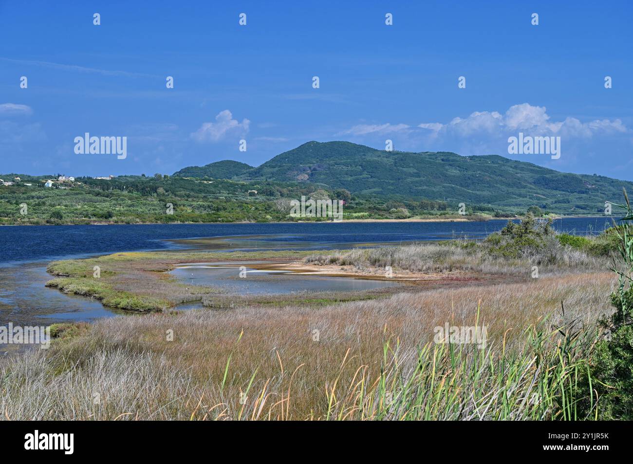 Belle vue aérienne vibrante sur le paysage de la lagune du lac Korission, l'île de Corfou, la Grèce avec le troupeau de flamants roses, la plage de la mer Ionienne et les montagnes. Banque D'Images