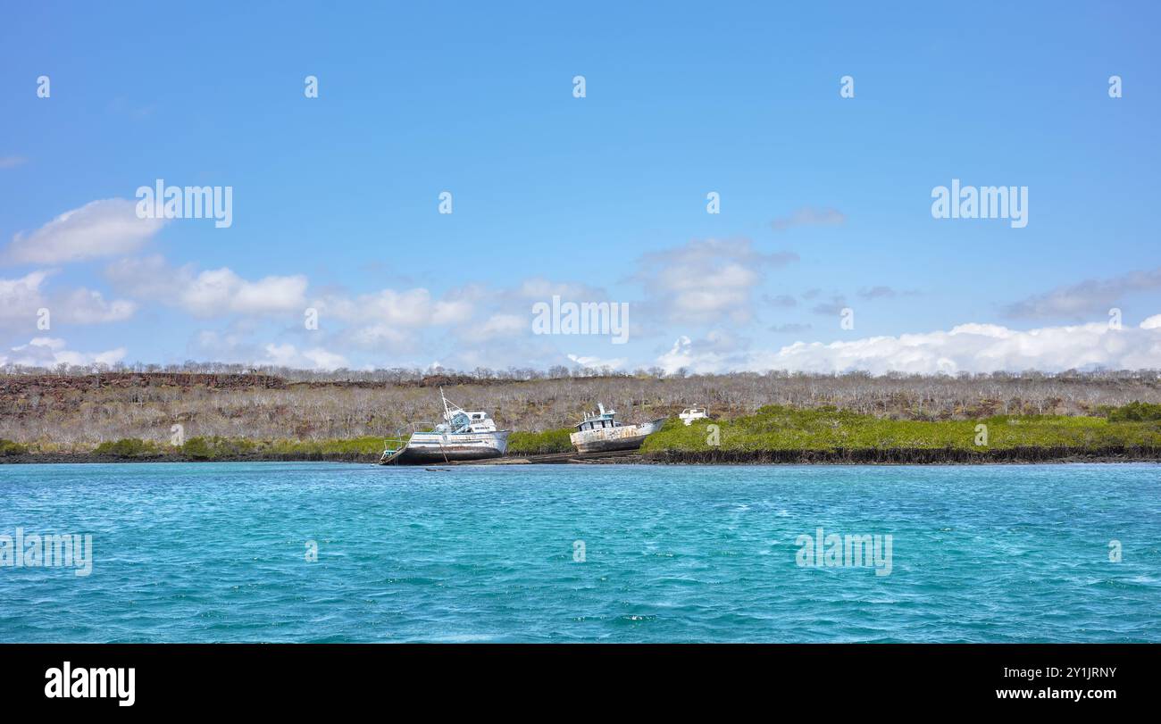 Vue de l'île de Santa Cruz, Parc National des Galapagos, Équateur. Banque D'Images