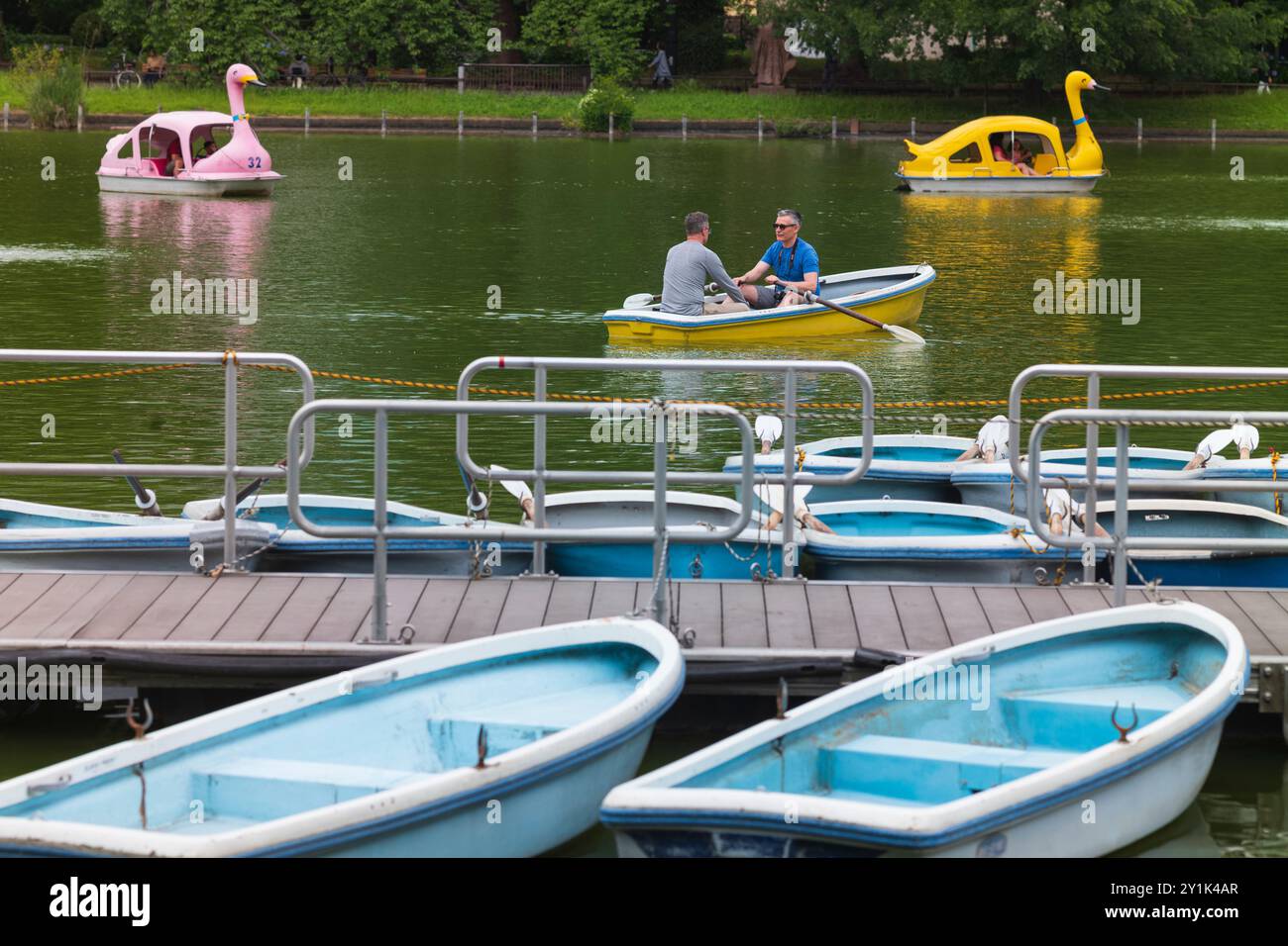 Tokyo, Japon, 14 juin 2024 : les rampes d'accès à l'étang Shinobazuno dans le parc Ueno situé à Taito-ku, Tokyo, offrent des chaloupes, des bateaux à vélo et des bateaux à cygnes comme on le voit Banque D'Images