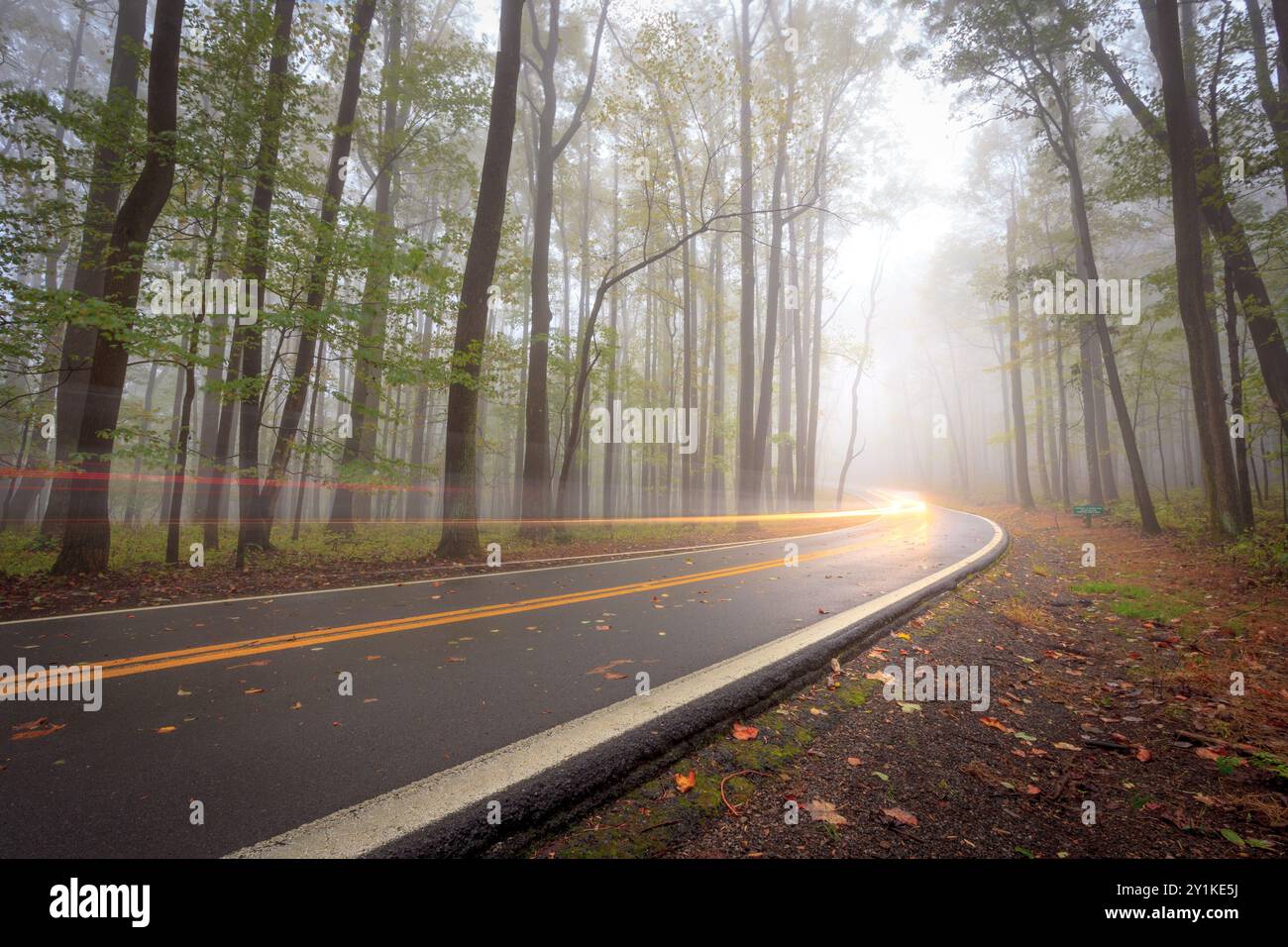 route dans les bois circulation time lapse photographie Banque D'Images
