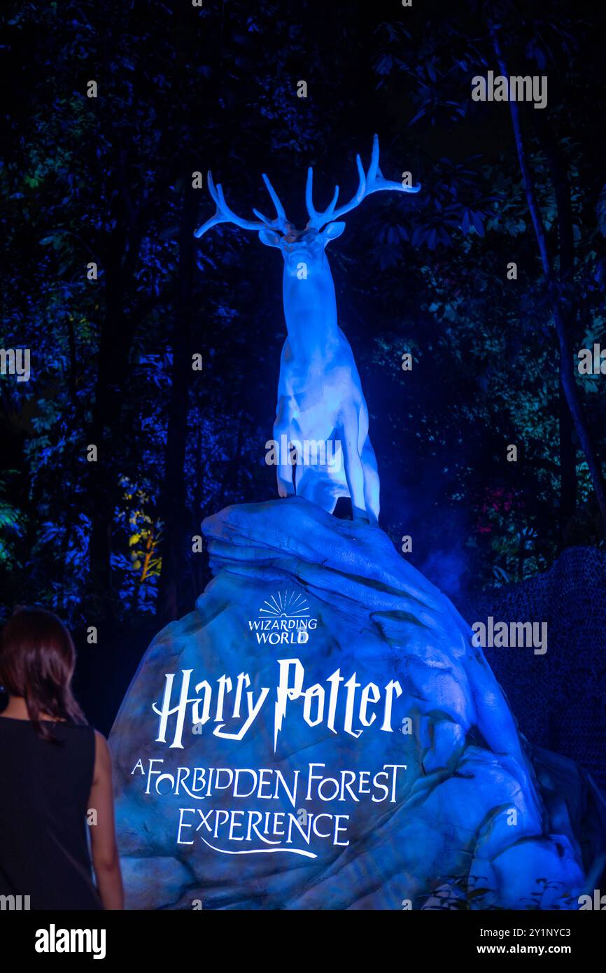 Singapour - 7 mars 2024 : spot photo à l'entrée de Harry Potter Forbidden Forest Experience à Siloso point, Coastal Trail, Sentosa. C'est Outdoo Banque D'Images