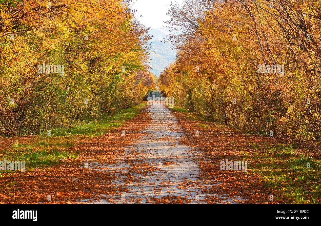 Paysages d'automne Banque D'Images