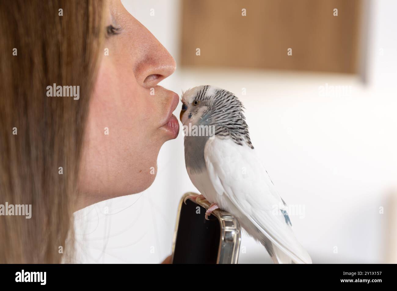 Une belle fille tient un perroquet sur sa main et l'embrasse. Banque D'Images