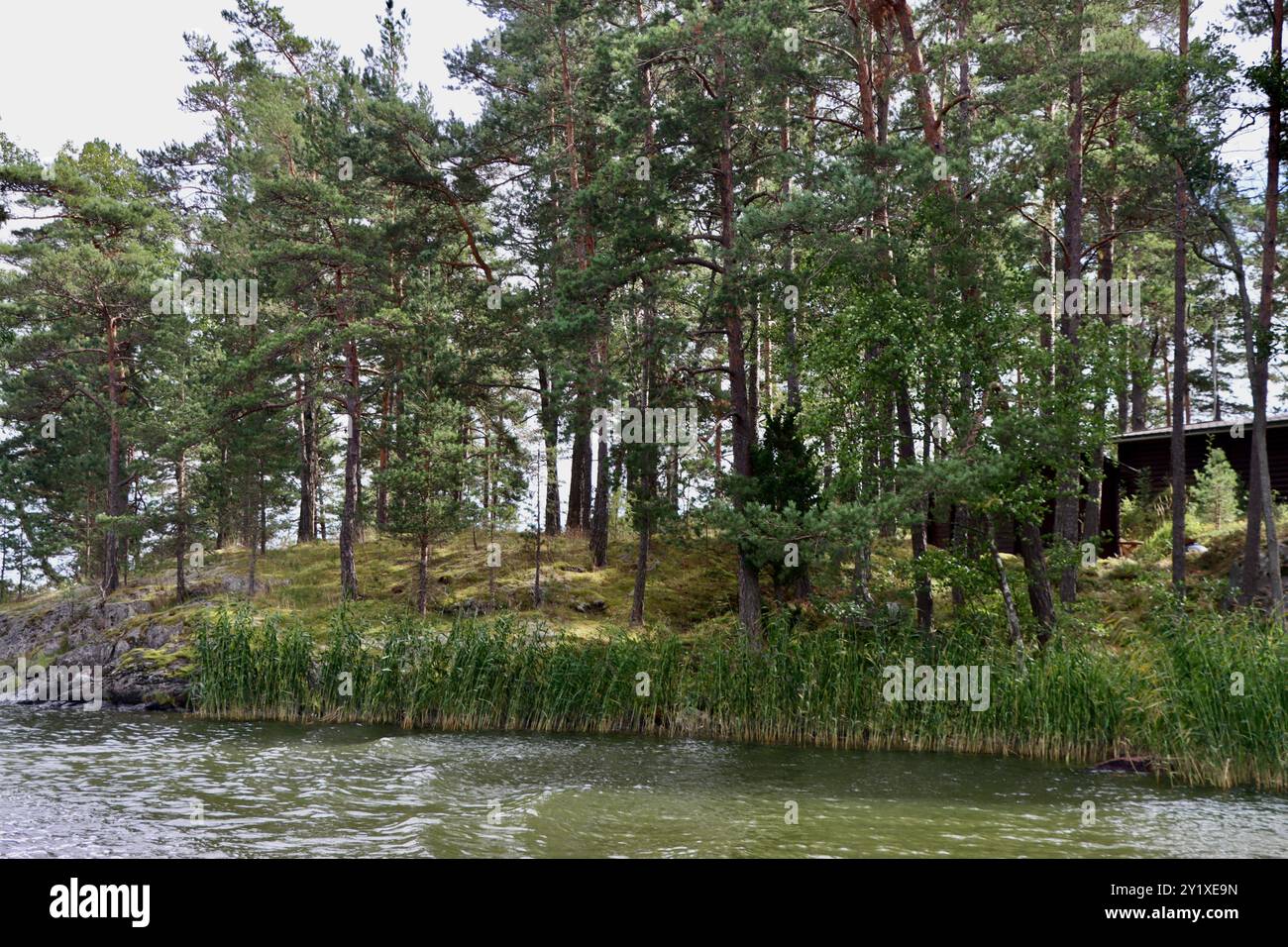 Archipel de Pellinge sur la côte sud de la Finlande sur Suomenlahti, baie de Finlande. Août 2024 Banque D'Images
