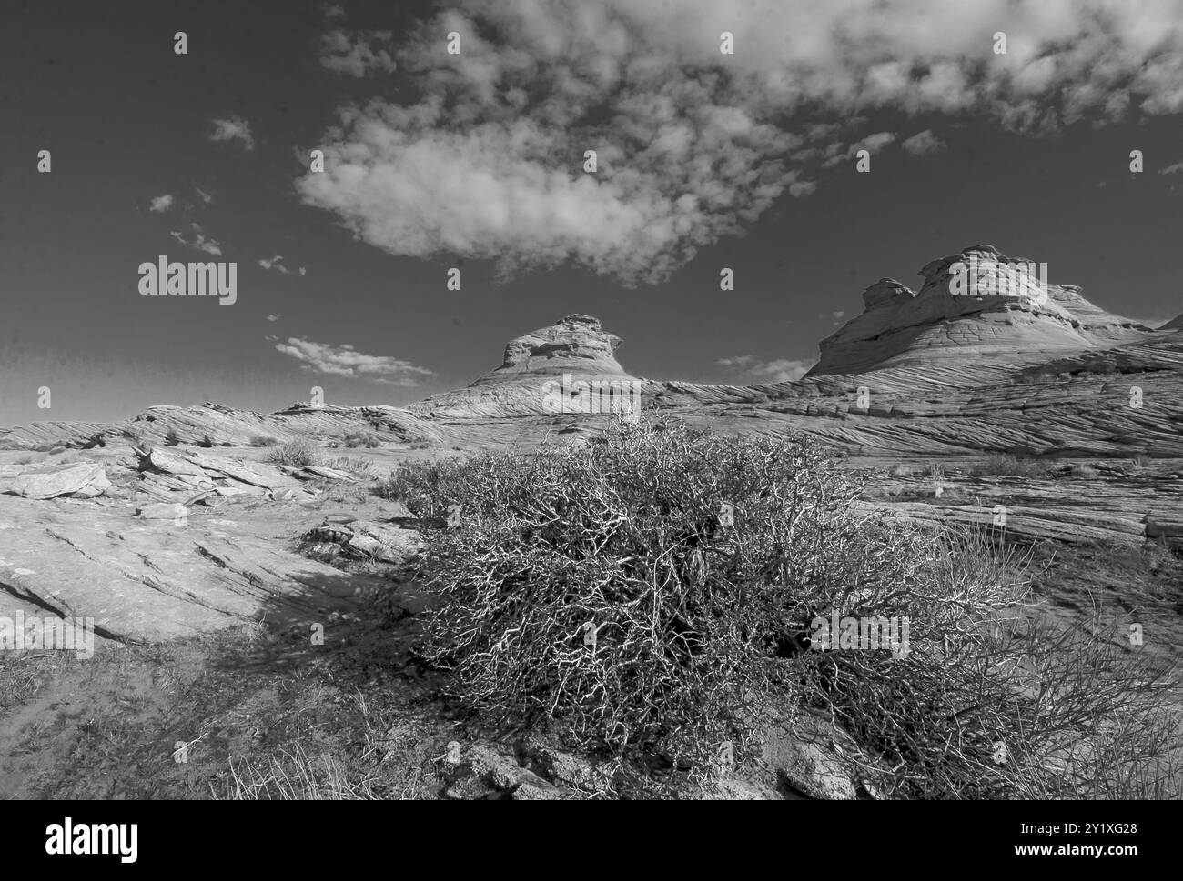 Paysage noir et blanc près du canyon antilope, Utah, États-Unis Banque D'Images