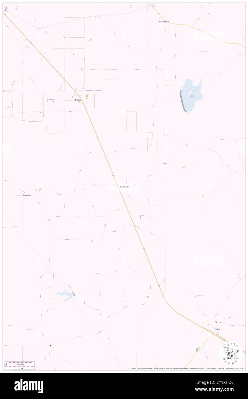 Bethsaida, Comté de Neshoba, US, États-Unis, Mississippi, n 32 40' 34'', S 89 2' 5'', carte, Cartascapes carte publiée en 2024. Explorez Cartascapes, une carte qui révèle la diversité des paysages, des cultures et des écosystèmes de la Terre. Voyage à travers le temps et l'espace, découvrir l'interconnexion du passé, du présent et de l'avenir de notre planète. Banque D'Images