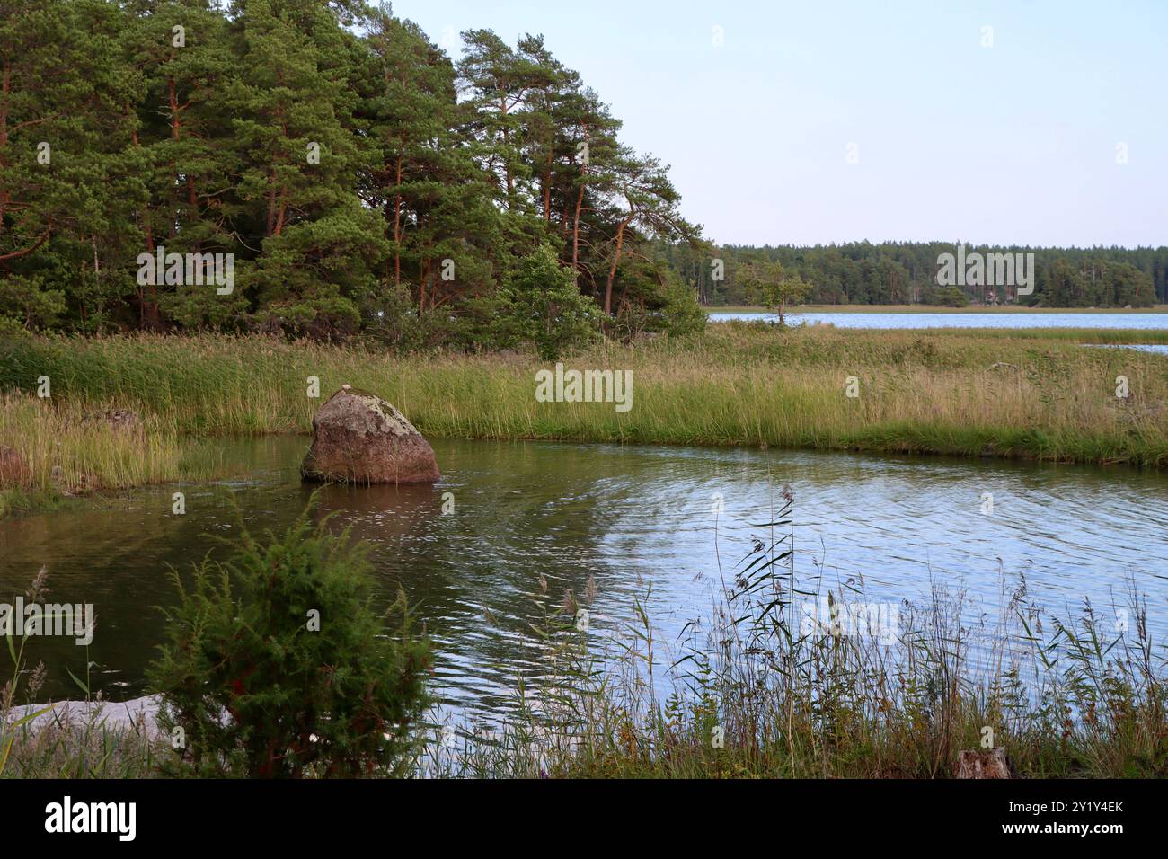 Vues magnifiques au sud de Loviisa, sur la côte sud de la Finlande, dans le golfe de Finlande, août 2024 Banque D'Images