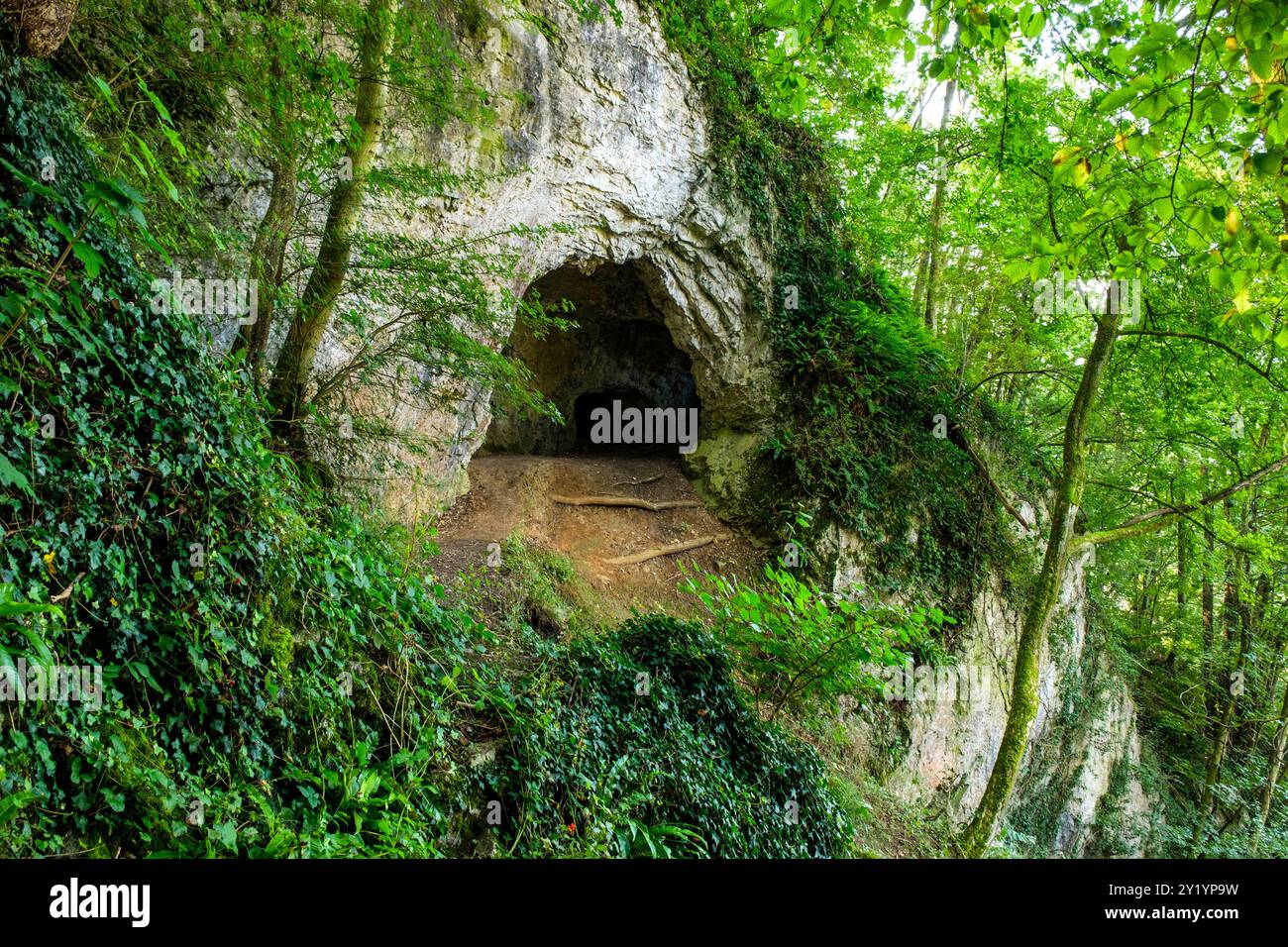 La réserve naturelle, les falaises et le village de Comblain-au-pont |- grottes ; grotte et trou dans la pierre dû au phénonoménon karstique la réserve Banque D'Images