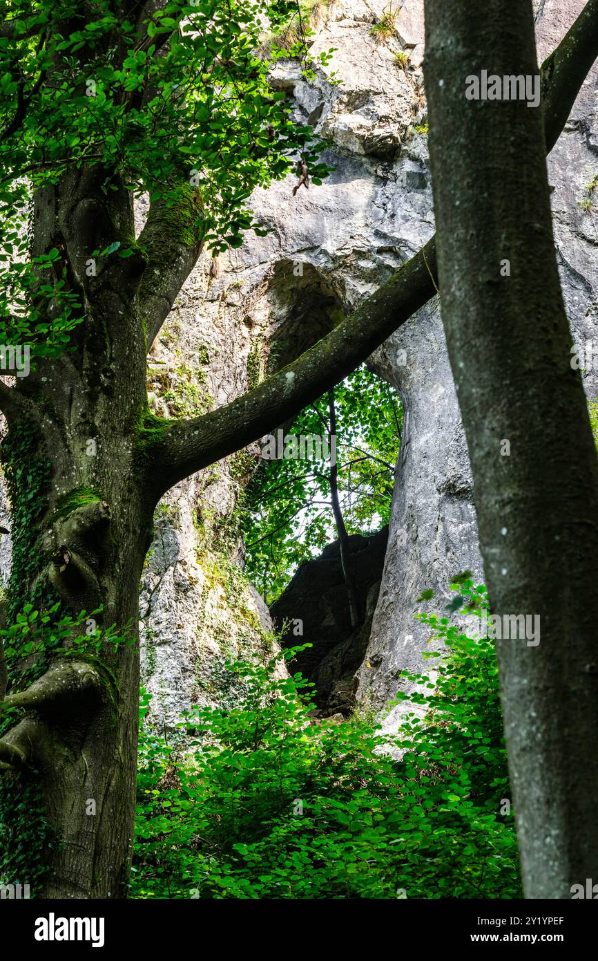 La réserve naturelle, les falaises et le village de Comblain-au-pont |- grottes ; grotte et trou dans la pierre dû au phénonoménon karstique la réserve Banque D'Images
