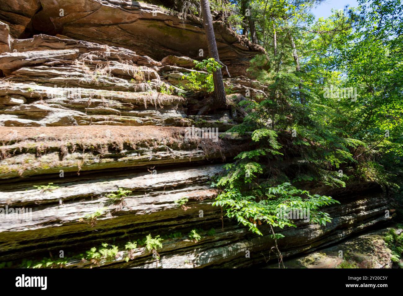 Les falaises de grès cambrien le long de la rivière Wisconsin dans les Wisconsin Dells. Banque D'Images