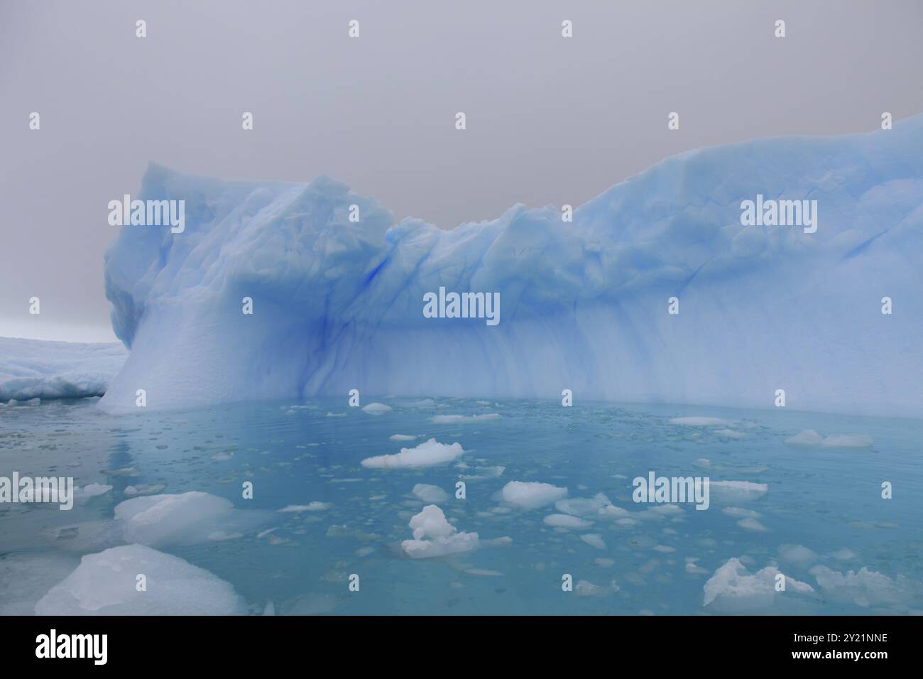 Iceberg en Antarctique de l'eau et d'azur Banque D'Images