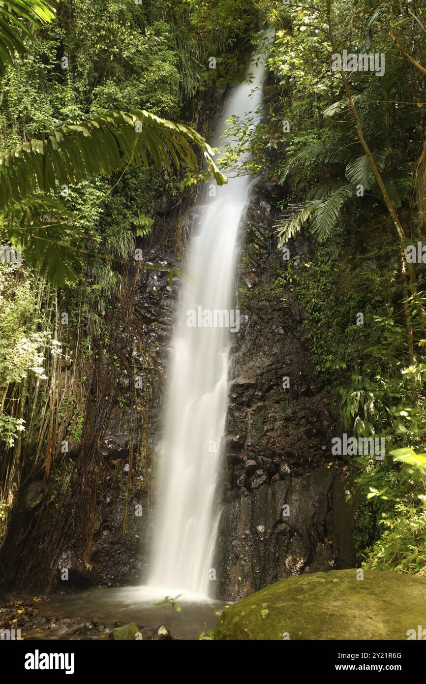 Cascade sur l'île de Bequia, produit Vincent dans les Caraïbes Banque D'Images