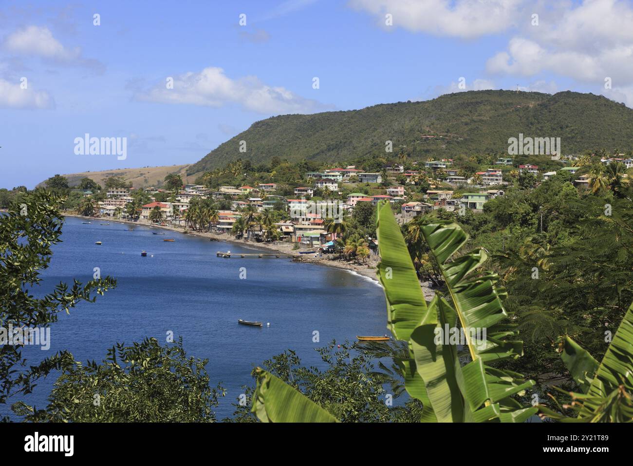 Côte de la Dominique avec petite ville, collines et ciel bleu Banque D'Images