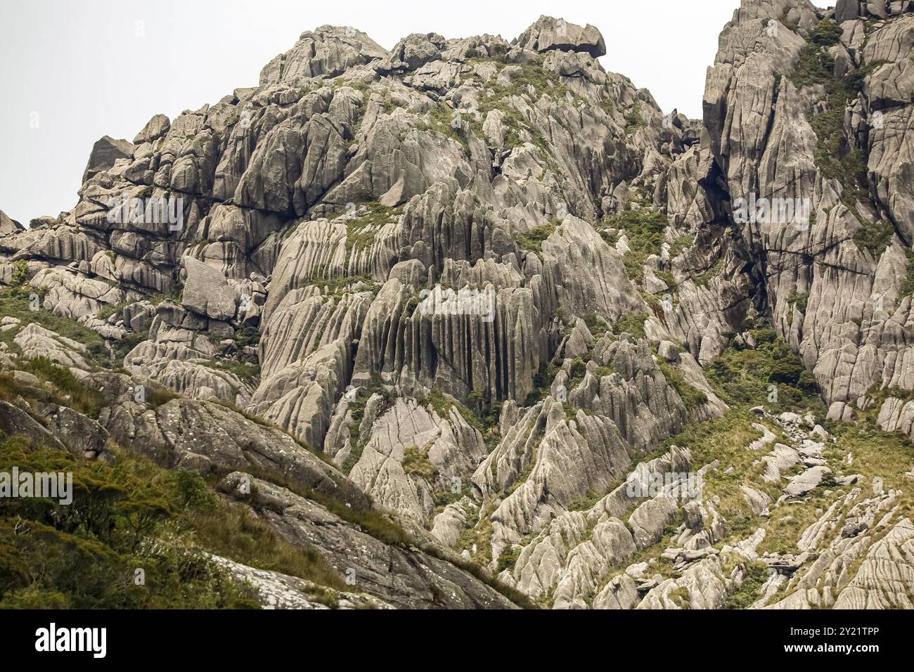 Montagnes pittoresques en granit sauvage de la Serra da Mantiqueira (chaîne de montagnes de Mantiqueira) avec des parties herbeuses sur fond lumineux, haute Itatiaia, Banque D'Images
