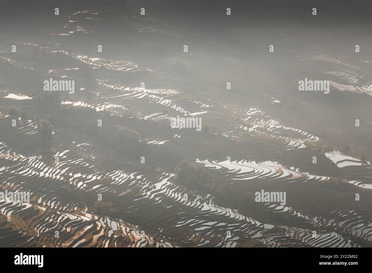 Les rizières en terrasses sur le site de Bada dans le comté de Yuanyang, en Chine. Les terrasses de riz de Bada couvrent une superficie de 950 hectares avec plus de 3700 niveaux, s'élevant à partir de 800 me Banque D'Images