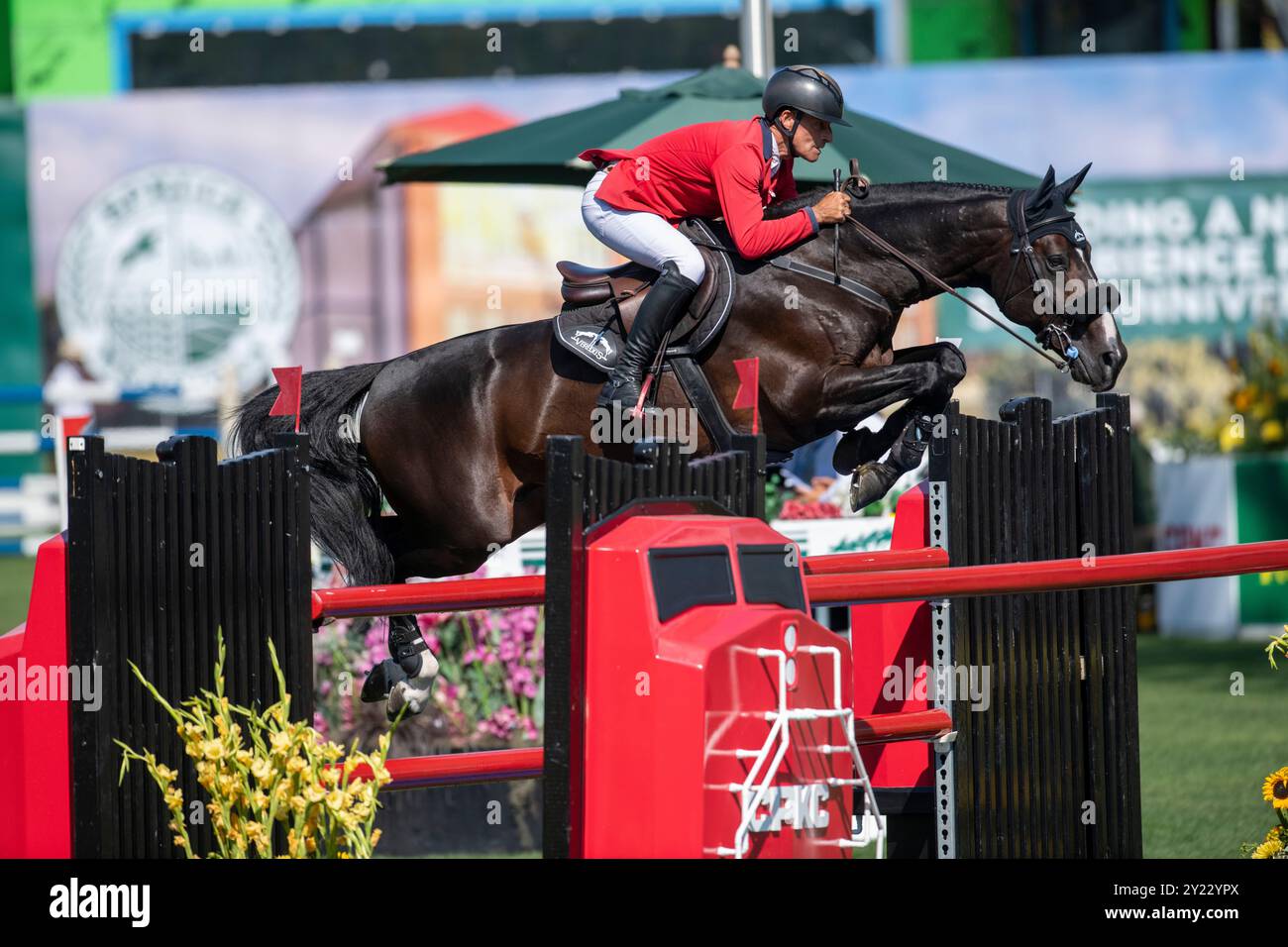 Calgary, Alberta, Canada, 8 septembre 2024.Pius Schwizer (sui) Riding Vancouver de Lanlore, CSIO Spruce Meadows Masters, - Grand Prix international du CPKC présenté par Rolex - crédit : Peter Llewellyn/Alamy Live News Banque D'Images