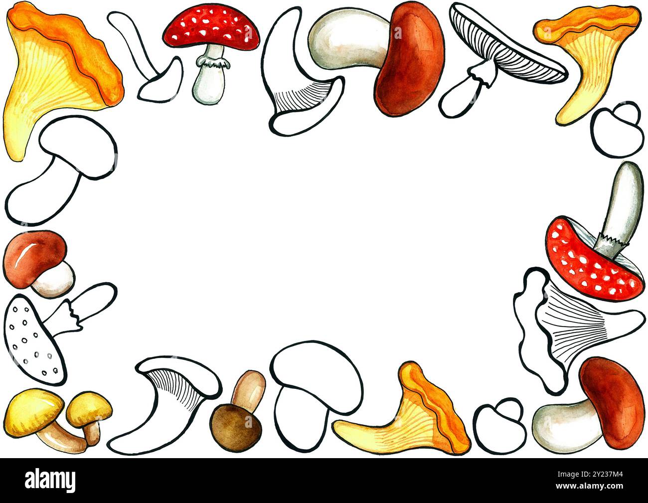 Cadre à partir d'un ensemble de champignons. Champignons de différentes formes, tailles et types. Dessins avec un contour noir et avec remplissage aquarelle de différentes couleurs Banque D'Images