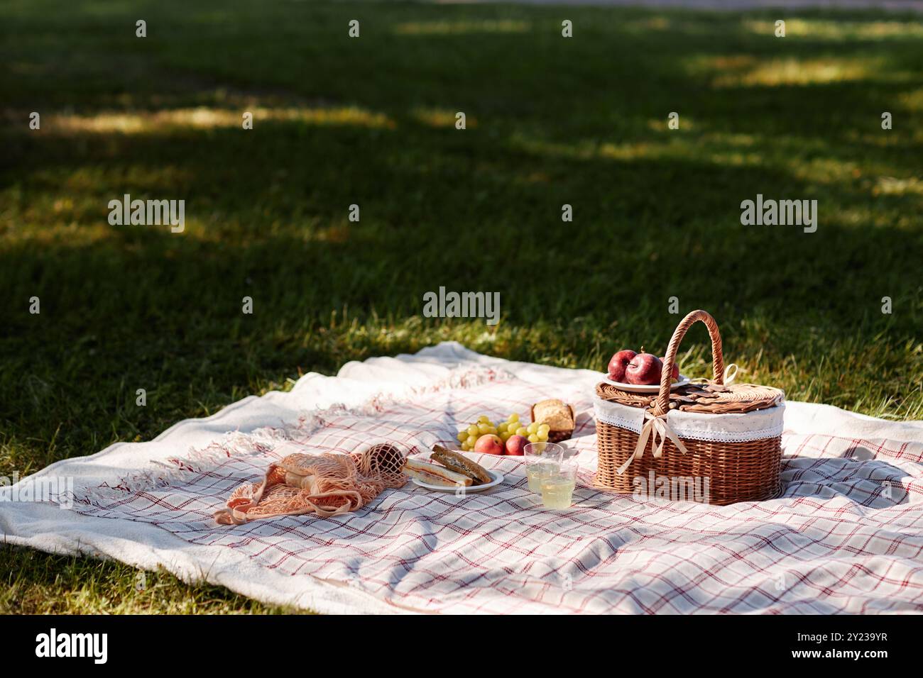 Couverture confortable avec panier et collation sur l'herbe fraîche tondue dans le parc Banque D'Images
