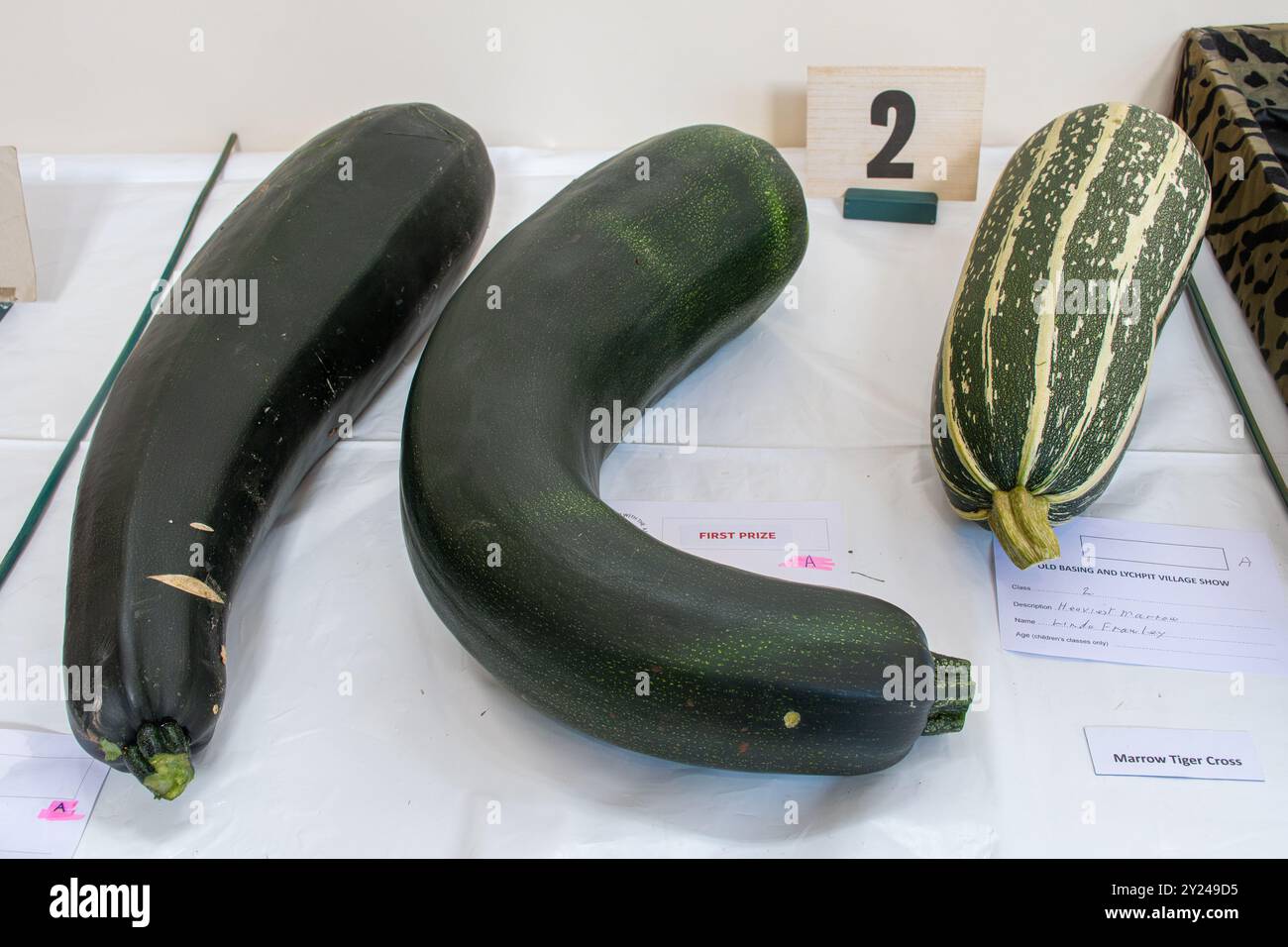 Spectacle de village dans la salle de village Old Basing, Hampshire, Angleterre, Royaume-Uni, en septembre 2024. Compétition ou catégorie de moelle la plus lourde Banque D'Images
