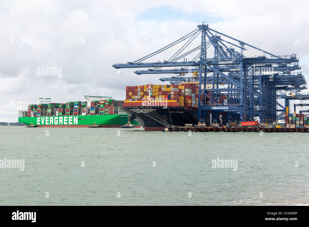 Porte-conteneurs MSC Istanbul et Evergreen Ever Ace, Port de Felixstowe, Suffolk, Angleterre, Royaume-Uni Banque D'Images