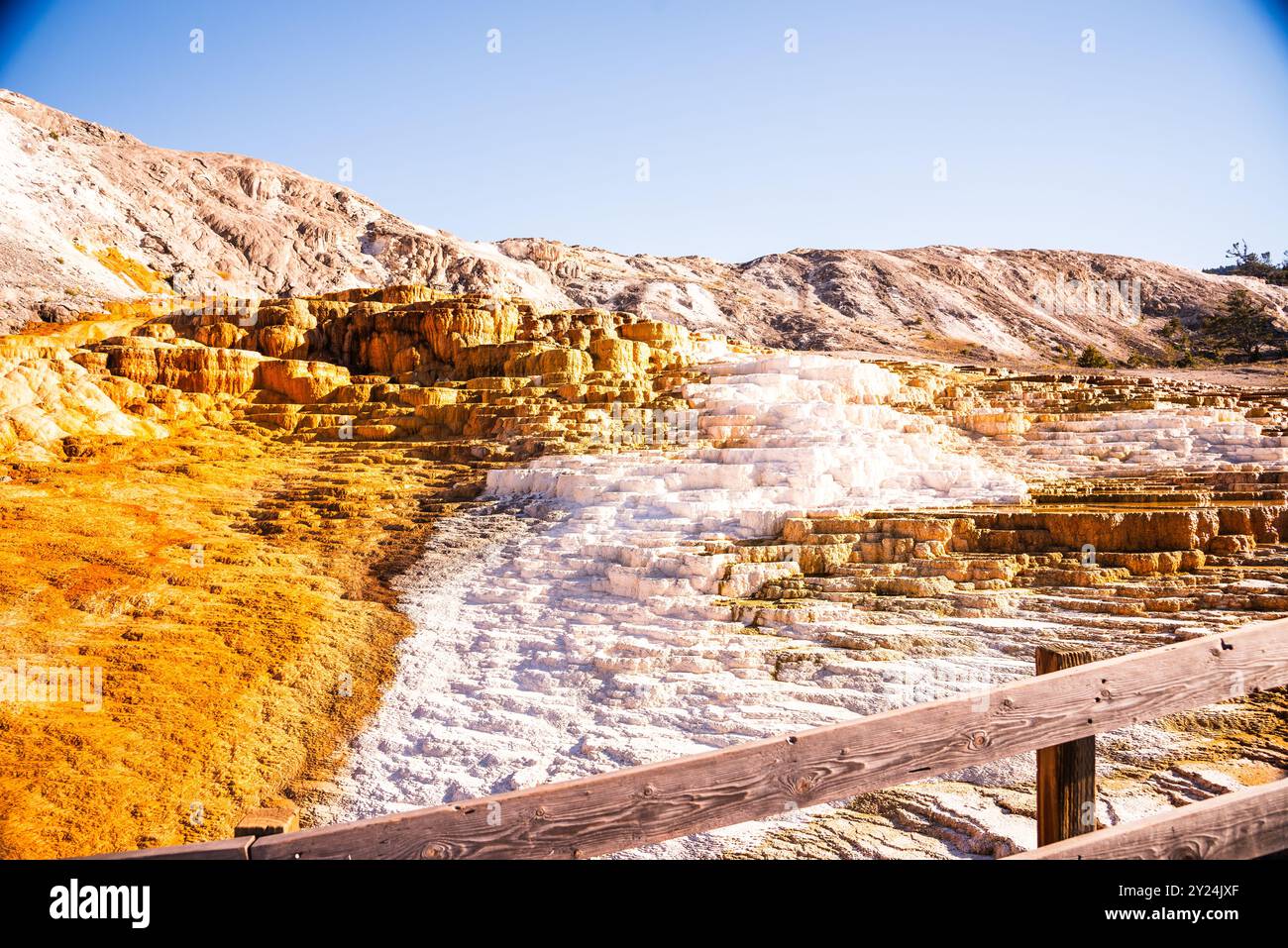 Terrasses géothermiques orange et blanches à Yellowstone Banque D'Images