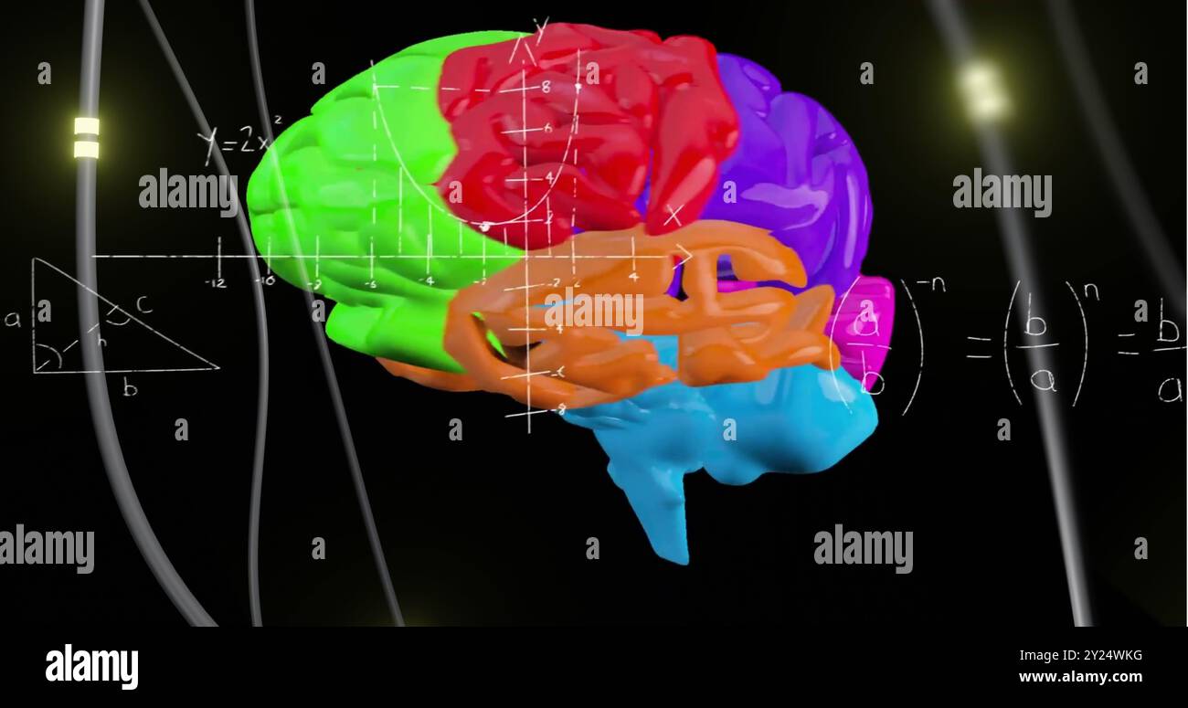 Image d'un cerveau numérique tournant sur des équations mathématiques Banque D'Images