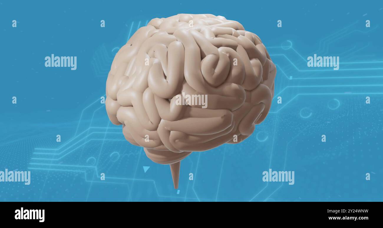 Image du cerveau numérique Banque D'Images
