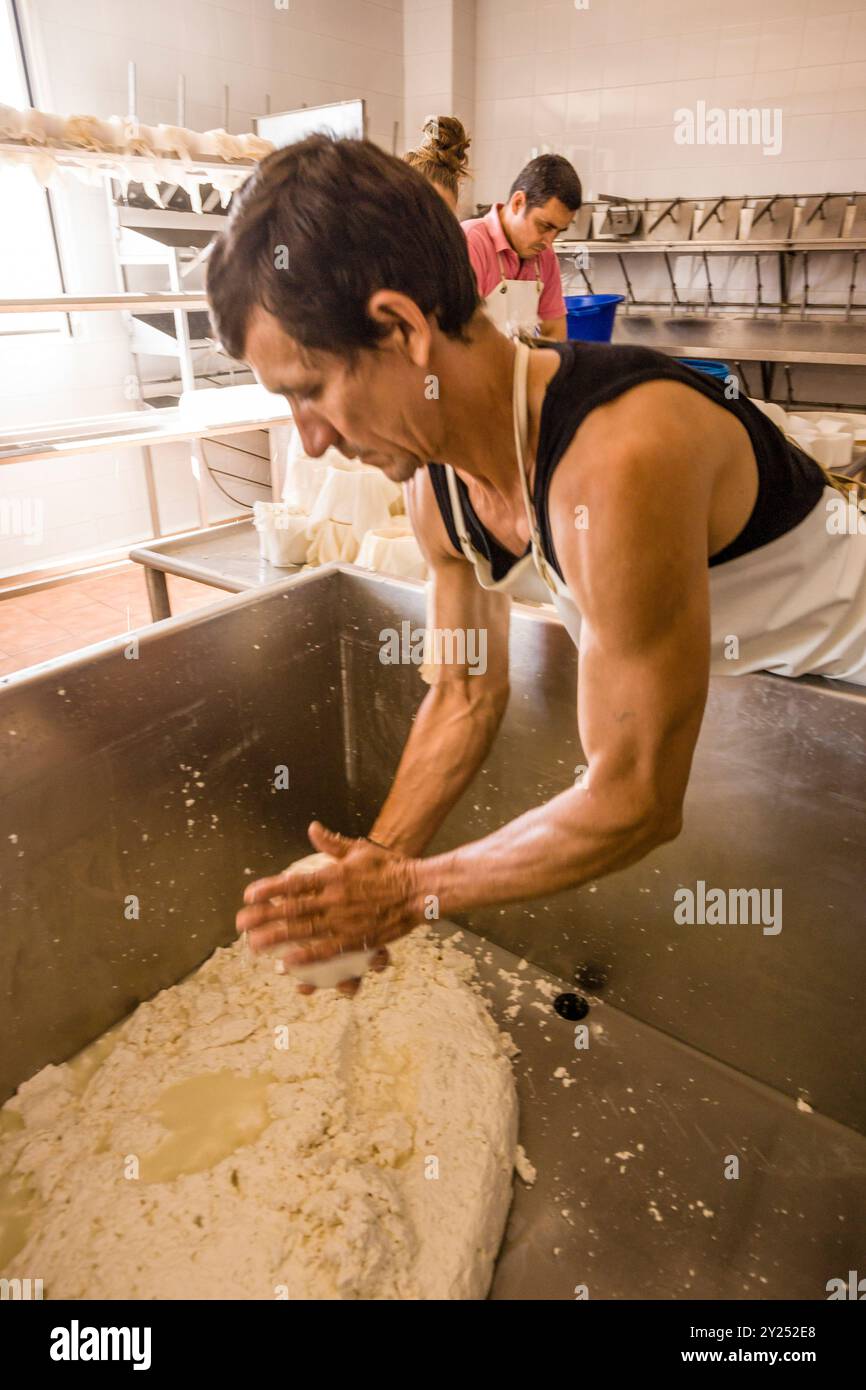 Production artisanale de fromage de chèvre Binibeca, Alcaiduset, Alaior, Minorque, Îles Baléares, Espagne. Banque D'Images