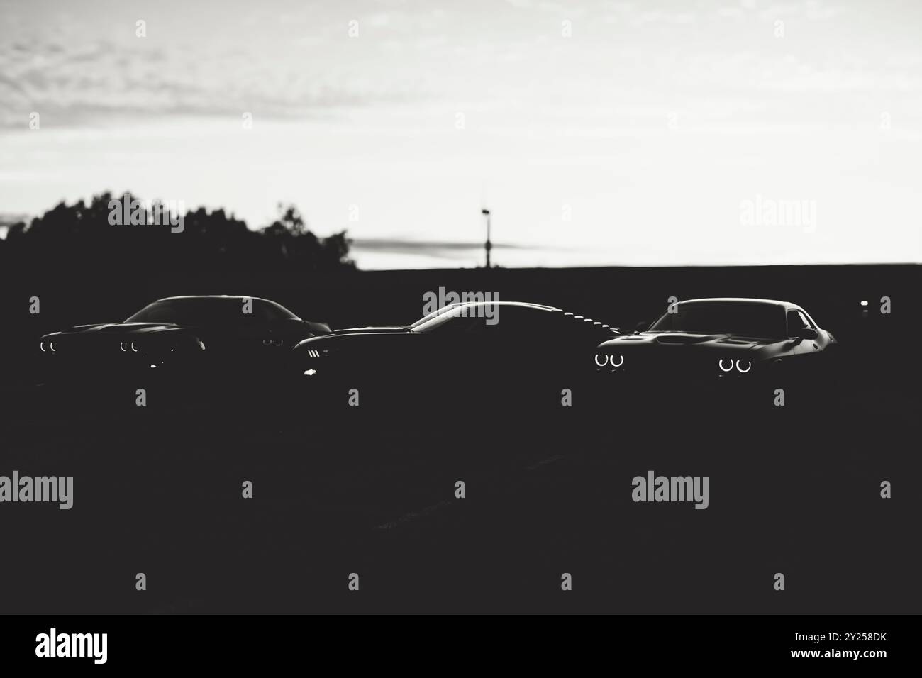 Muscle cars en noir et blanc Banque D'Images