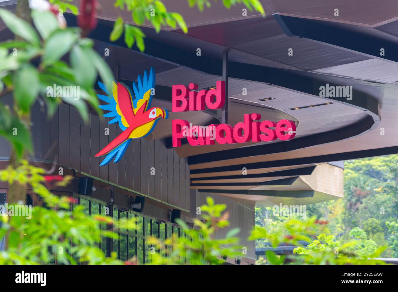 Signalisation rouge de Bird Paradise. Le plus grand parc ornithologique d'Asie. Singapour. Banque D'Images