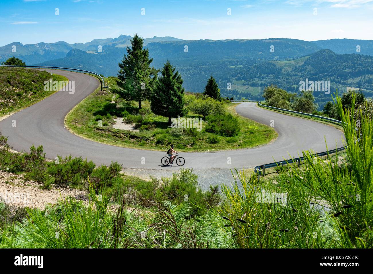 Route sinueuse dans le Parc naturel régional des volcans d'Auvergne avec le massif du Sancy en arrière-plan, Puy de Dôme, Auvergne, France Banque D'Images