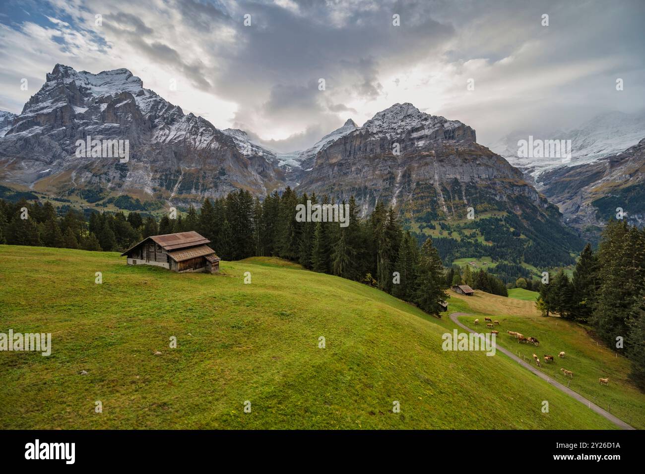 Grindelwald Suisse paysage naturel au village avec montagne des Alpes Banque D'Images