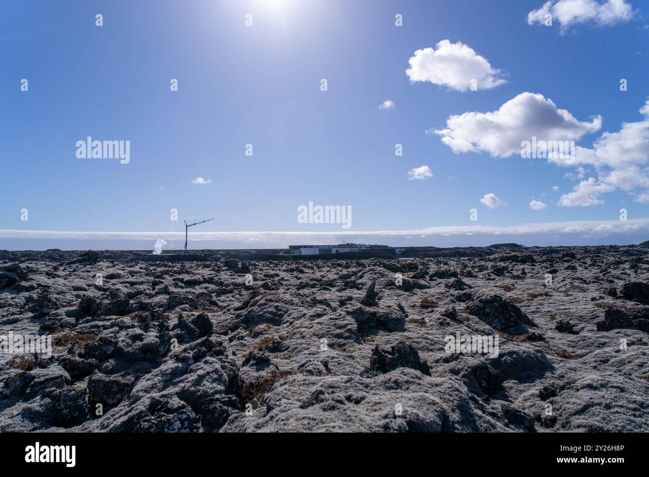 Les lichens vibrants poussent sur les roches volcaniques noires, présentant un environnement primitif. Péninsule de Reykjavik, Islande. Banque D'Images