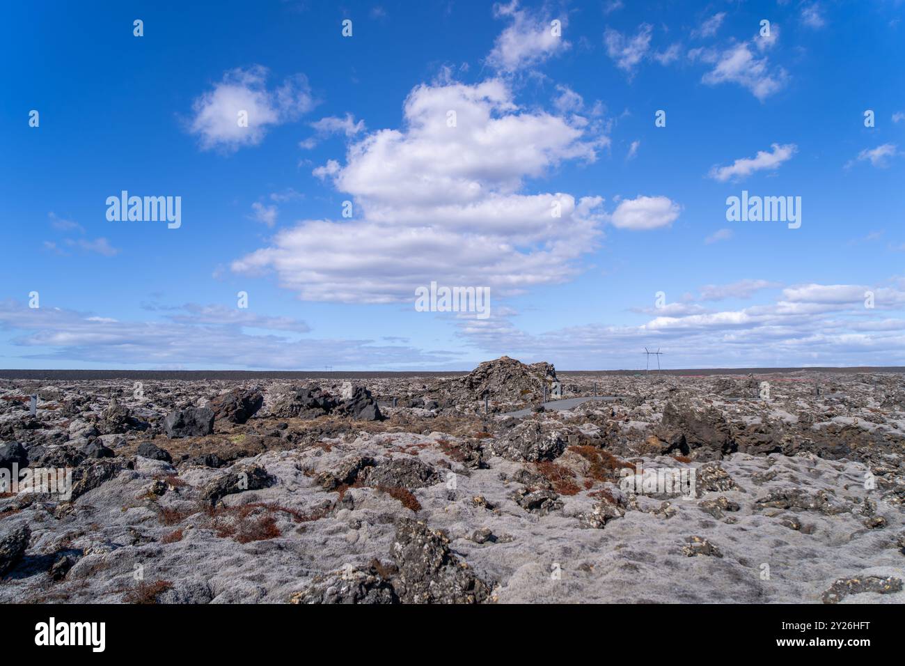 Les lichens vibrants poussent sur les roches volcaniques noires, présentant un environnement primitif. Péninsule de Reykjavik, Islande. Banque D'Images