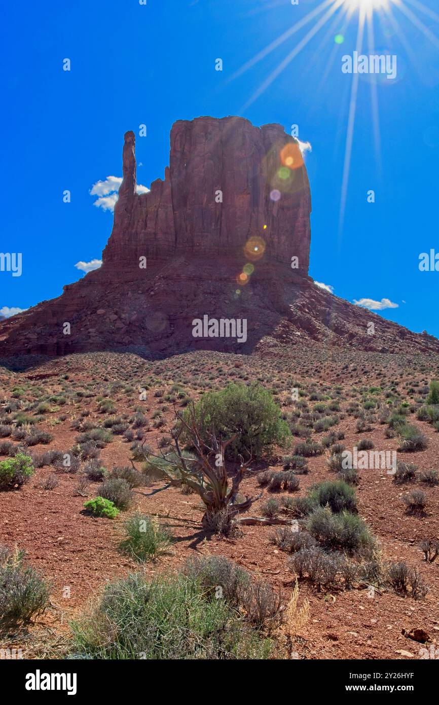 West Mitten butte derrière la lumière parasite induite par le soleil Banque D'Images
